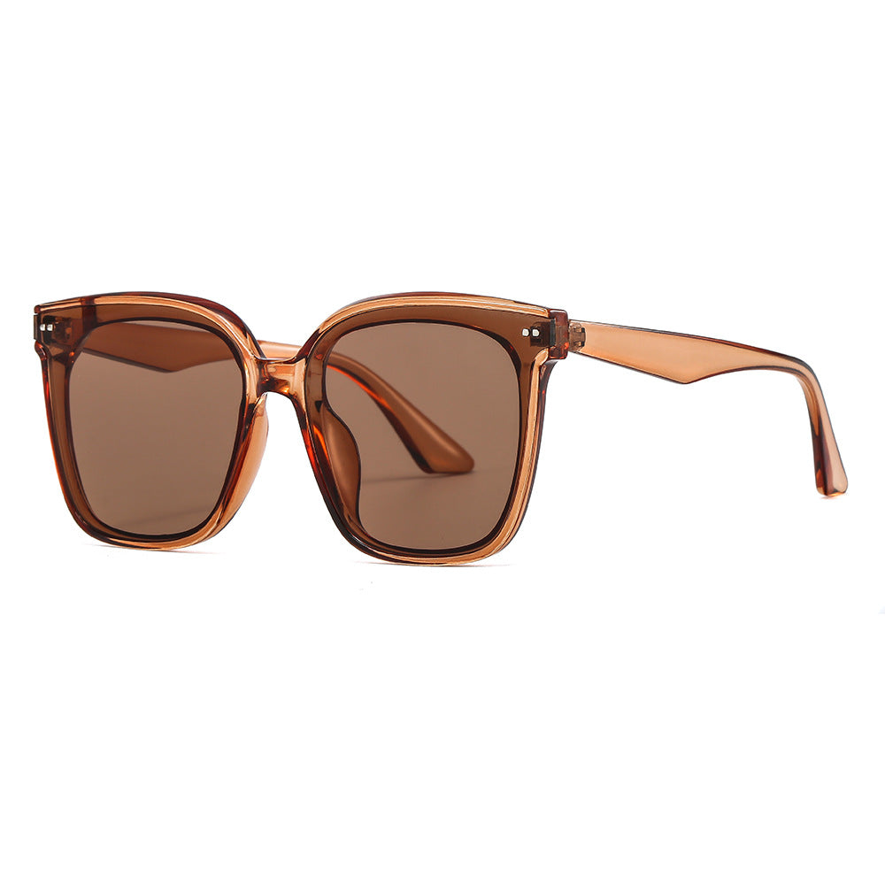 GM Brown Polarized Sunglasses