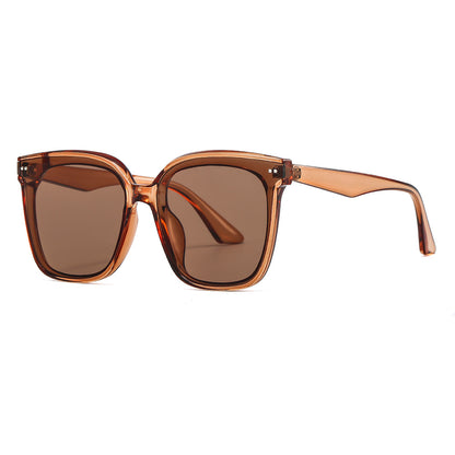 GM Trendy Style Brown Polarized Sunglasses