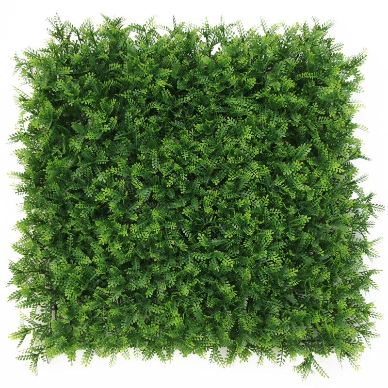 Sunscreen pine grass lawn outdoor plant wall