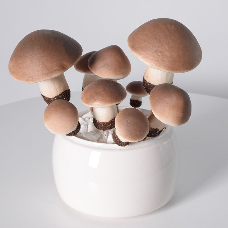 Simulation foam mushroom