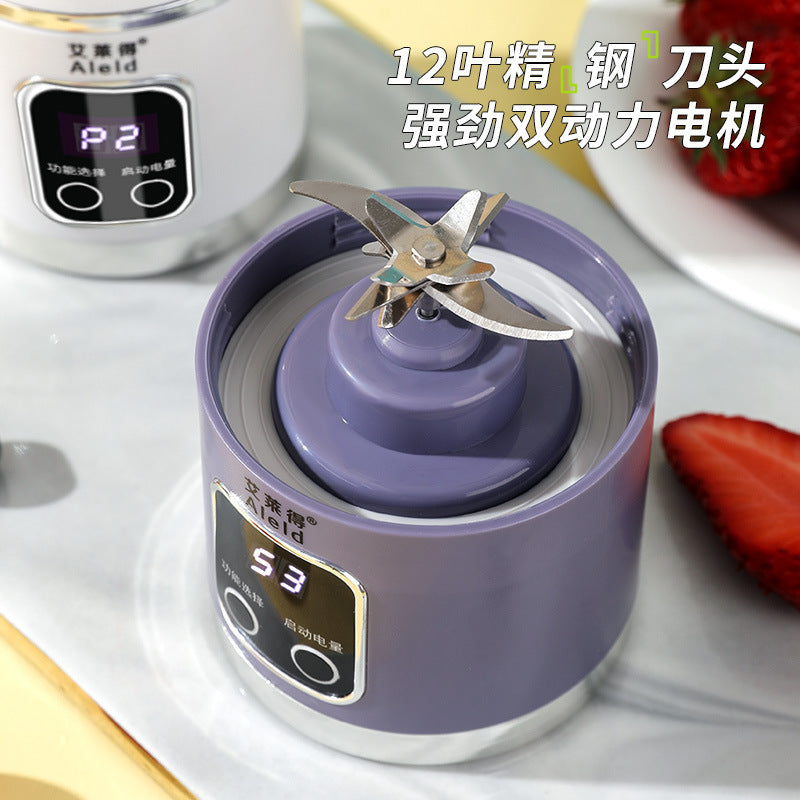 Portable electric fried juicer