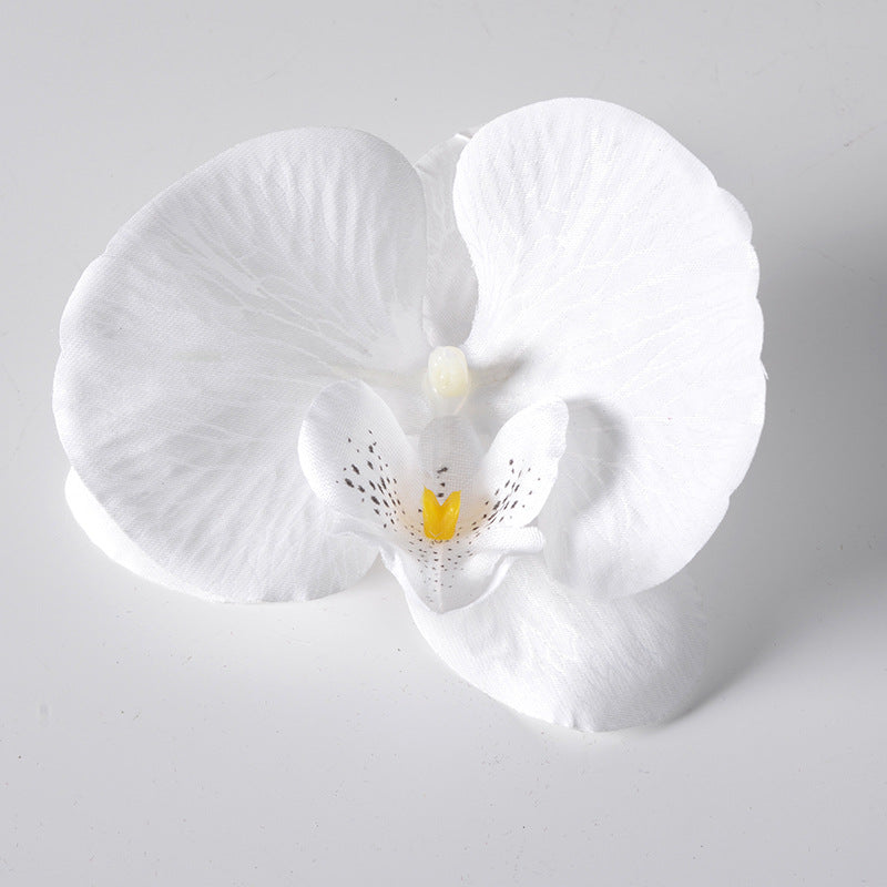 Simulation film Phalaenopsis orchid flower head petals