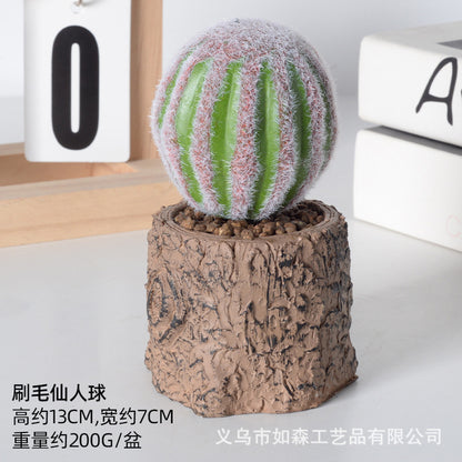 Simulation new cactus potted plant