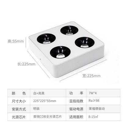 Ultra-thin surface mounted spotlights