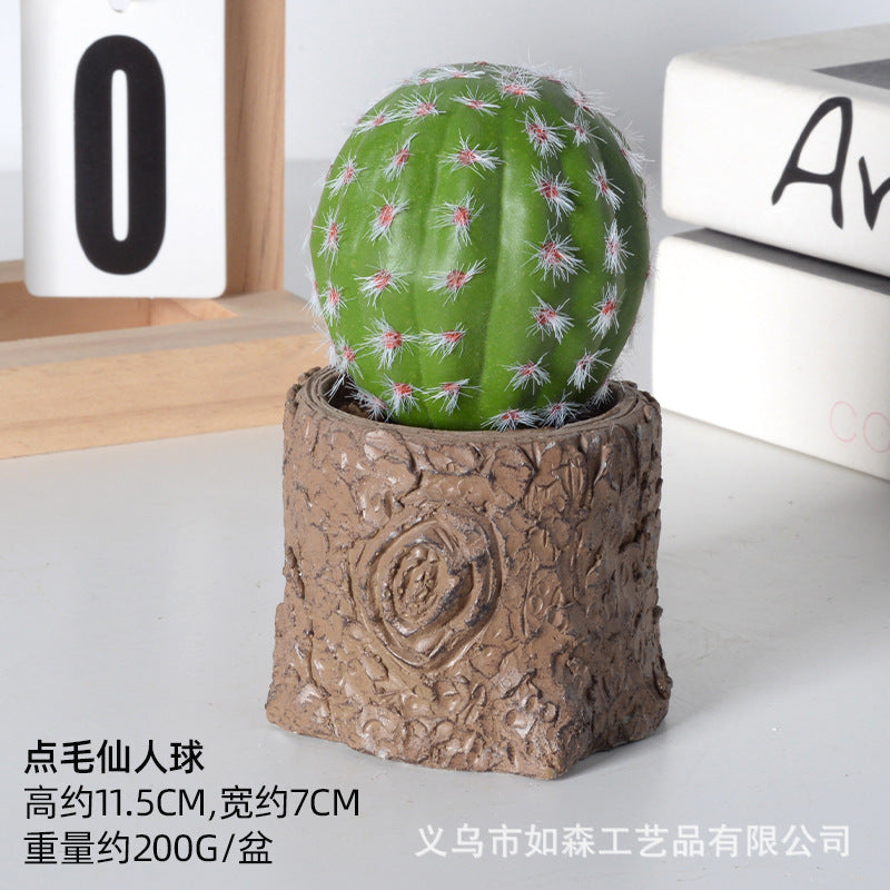 Simulation new cactus potted plant