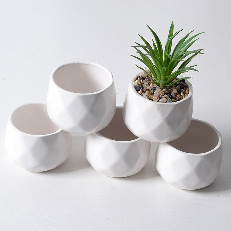 Succulent plant pots elegant white porcelain pots