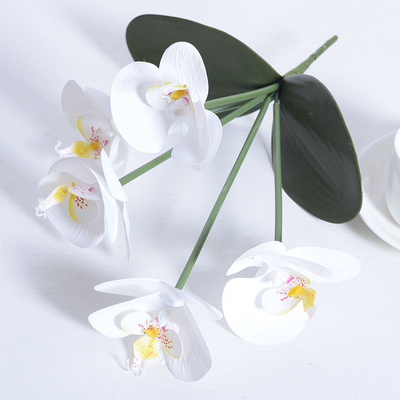 5 flores artificiales de orquídeas Phalaenopsis 