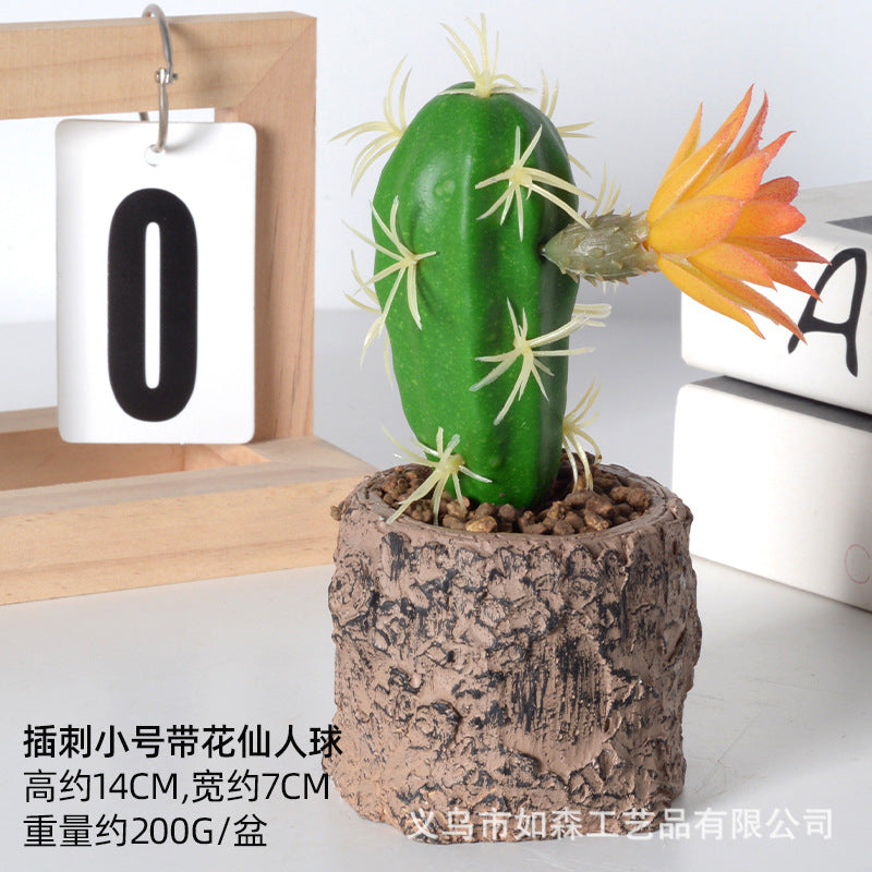 Simulation new cactus potted plant