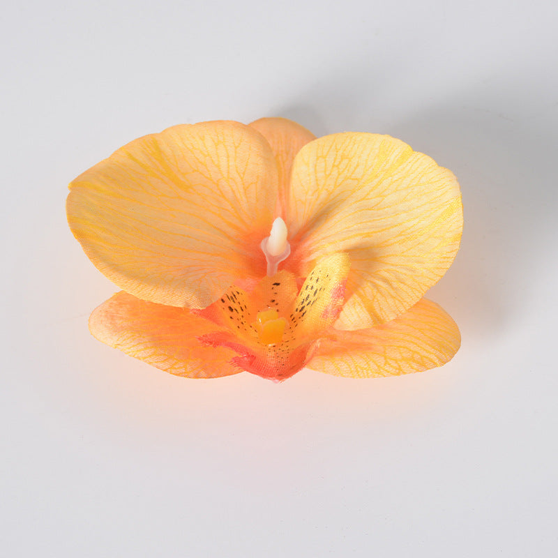 Simulation film Phalaenopsis orchid flower head petals