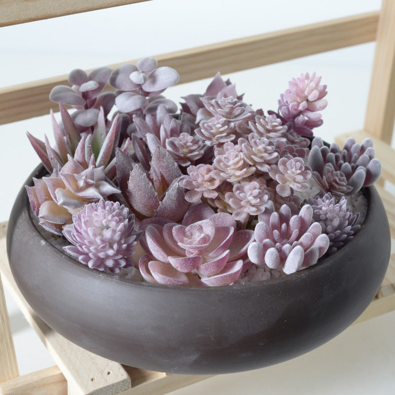 Purple flocking simulation succulent plants