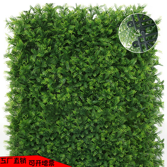 Sunscreen pine grass lawn outdoor plant wall