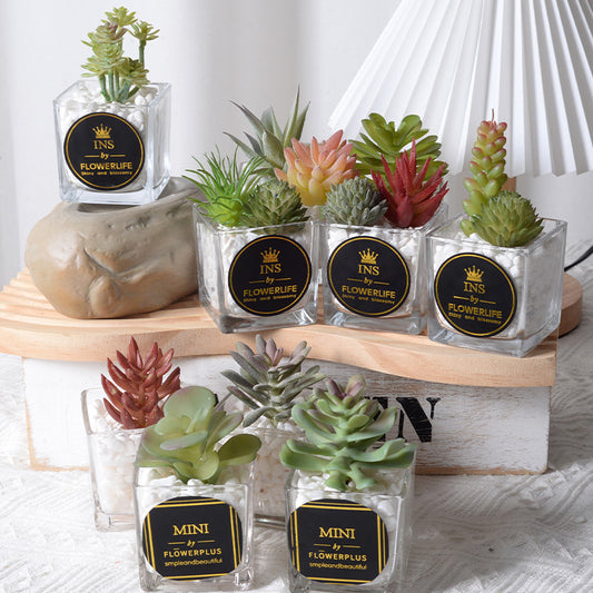 Artificial succulent plants wholesale