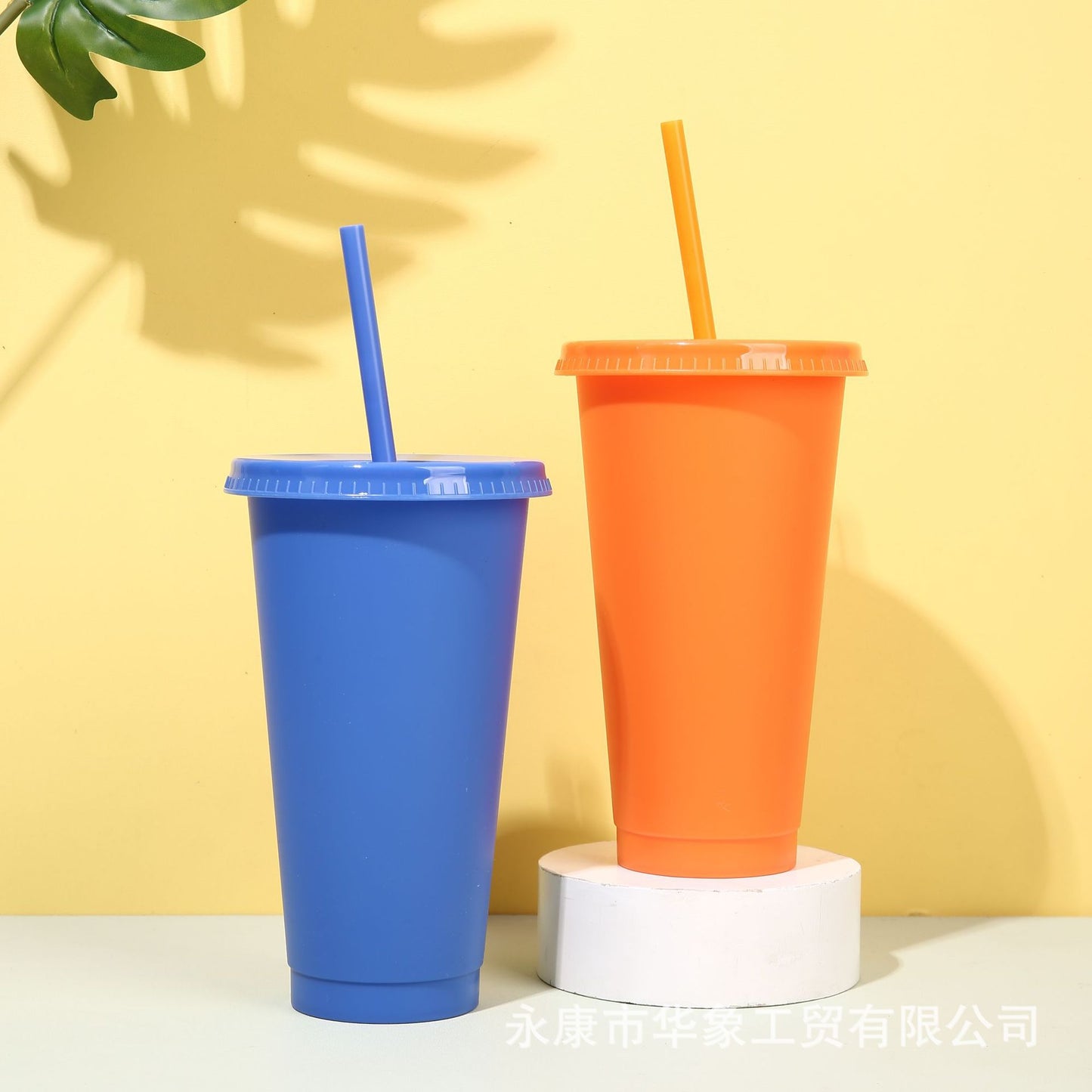 710Ml new 5-color straw cup