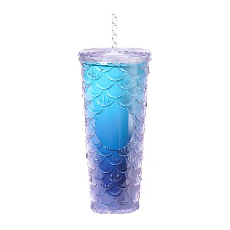 Scaled Pattern Large Capacity Double-Layer Plastic Straw Bottle