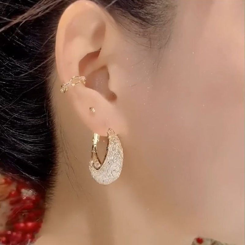 Zircon earrings for women ins