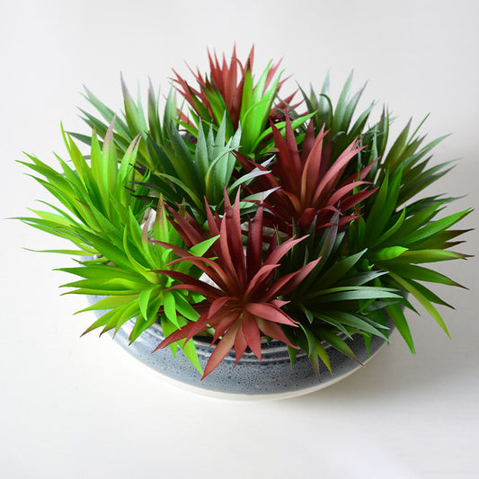 Simulation succulent plants