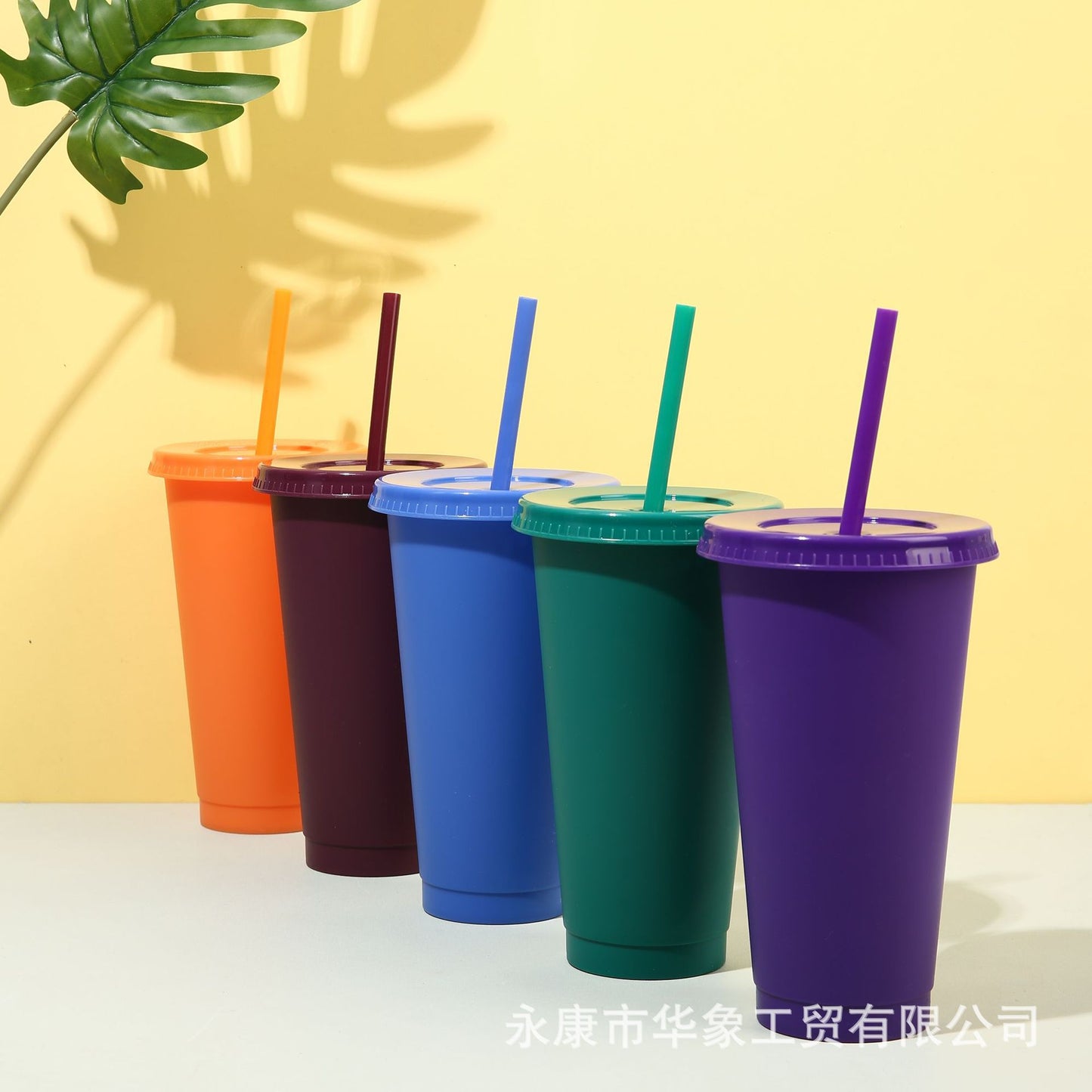 710Ml new 5-color straw cup