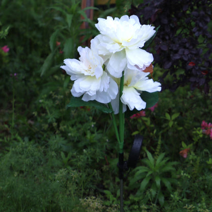 Solar three-head peony flower lamp