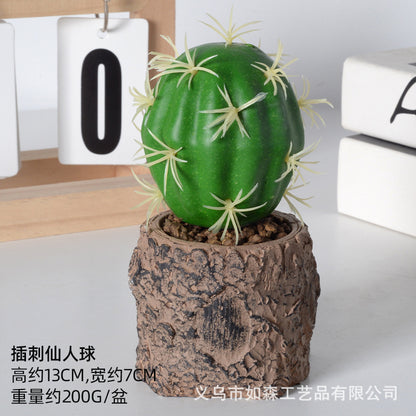 Simulation new cactus potted plant