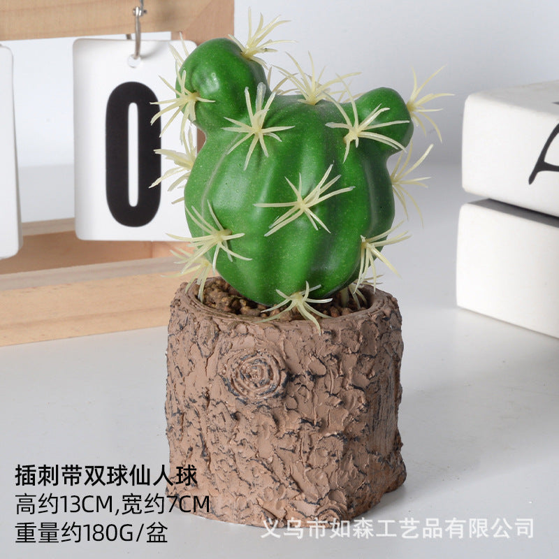 Simulation new cactus potted plant