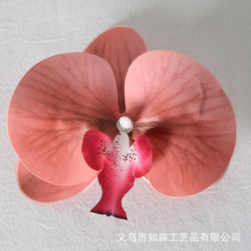 Simulation film Phalaenopsis orchid flower head petals