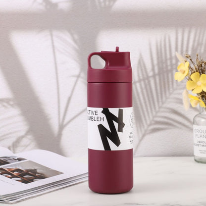 Portable 550ML water bottle