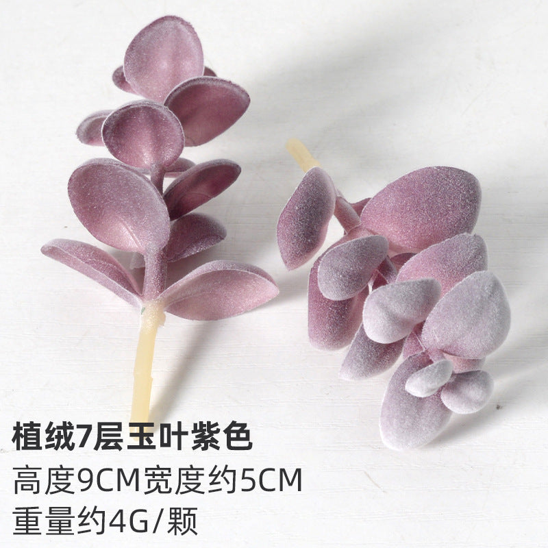 Purple flocking simulation succulent plants