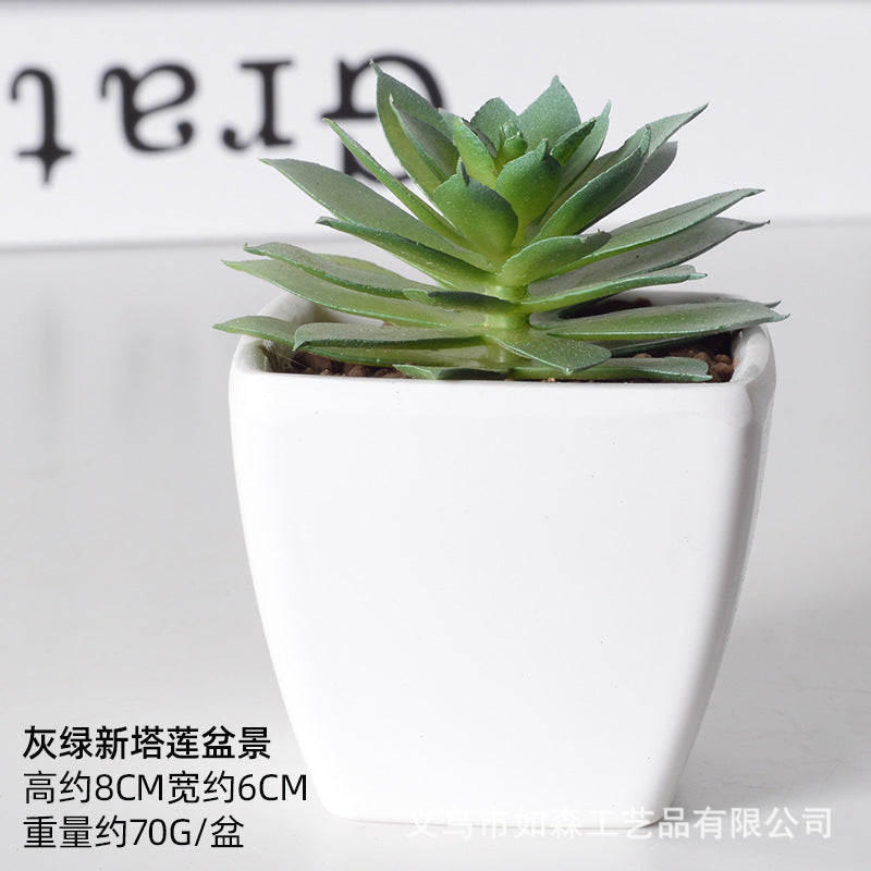 Simulation of succulent plastic bonsai artificial flowers combination