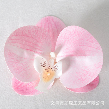 Simulation film Phalaenopsis orchid flower head petals