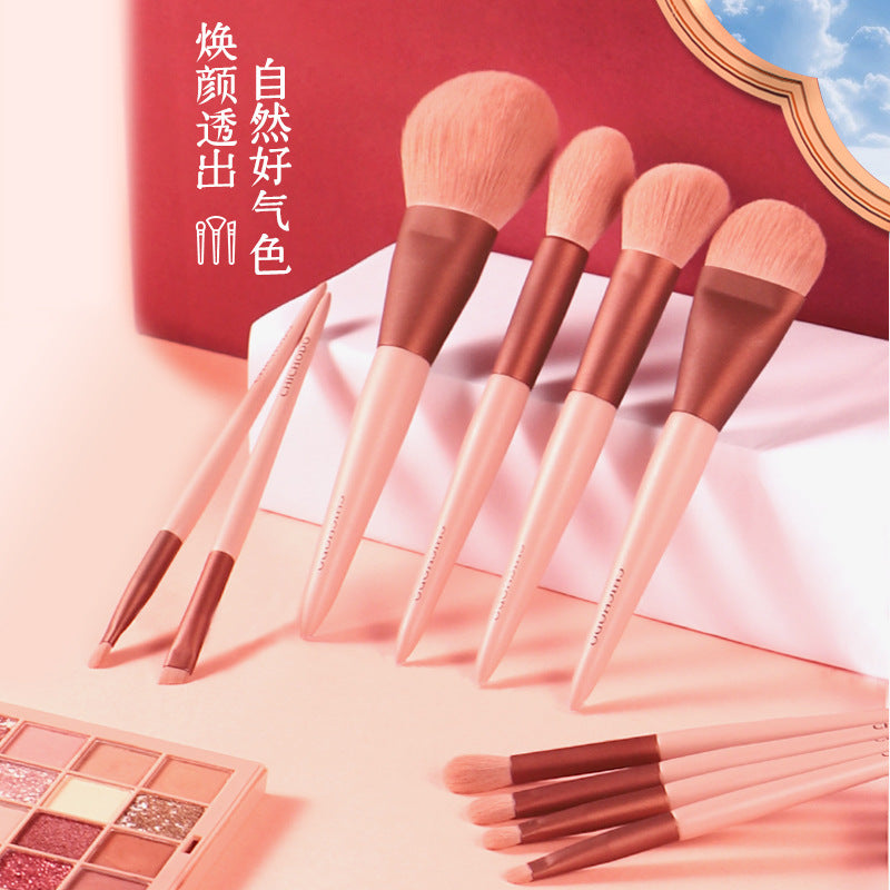 Zhenmei Tang Sakura Pink 10-Piece Brush Set