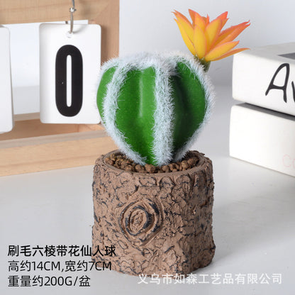 Simulation new cactus potted plant