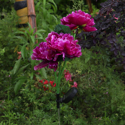 Solar three-head peony flower lamp