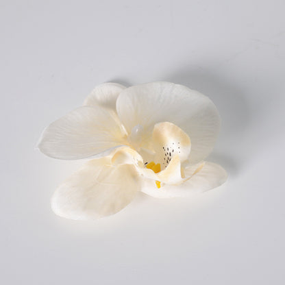 Simulation film Phalaenopsis orchid flower head petals