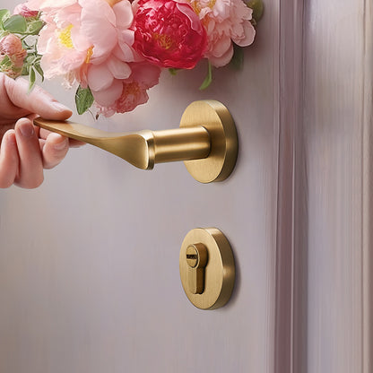 fashion Brass silent door lock