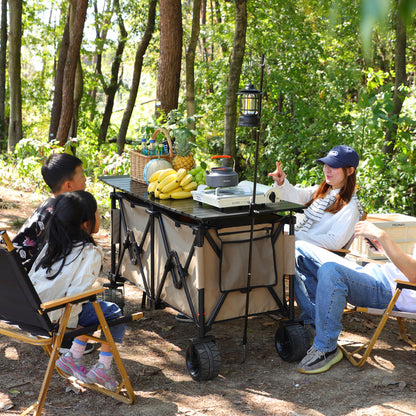 Portable Folding Camping Cart