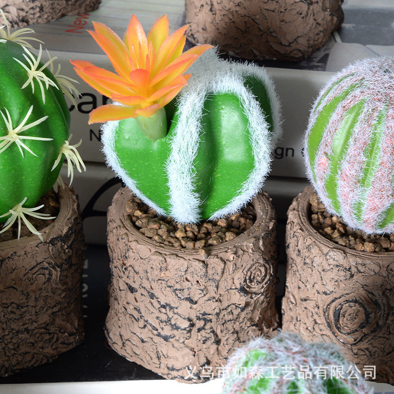 Simulation new cactus potted plant