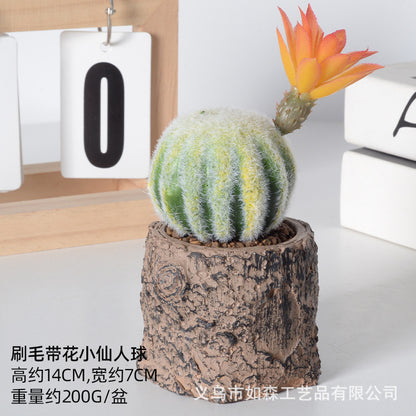 Simulation new cactus potted plant