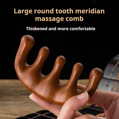 Massage Comb Plastic Wood Sandalwood Versions